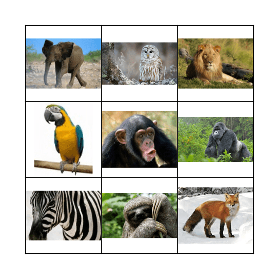 Wild Animals Bingo Card