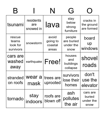 Natural Disasters Bingo Card