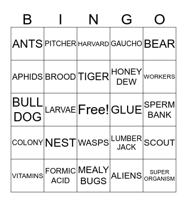 ANT ECOLOGY & EVOLUTION Bingo Card