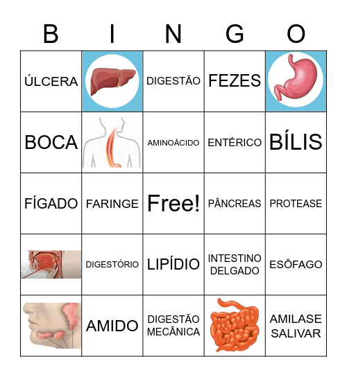 BINGO DA DIGESTÃO Bingo Card