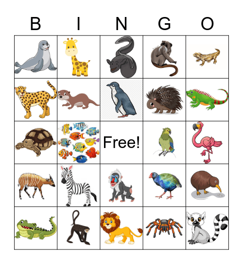 Auckland Zoo Bingo Card