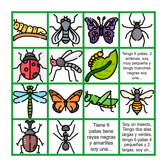 Insectos Bingo Card