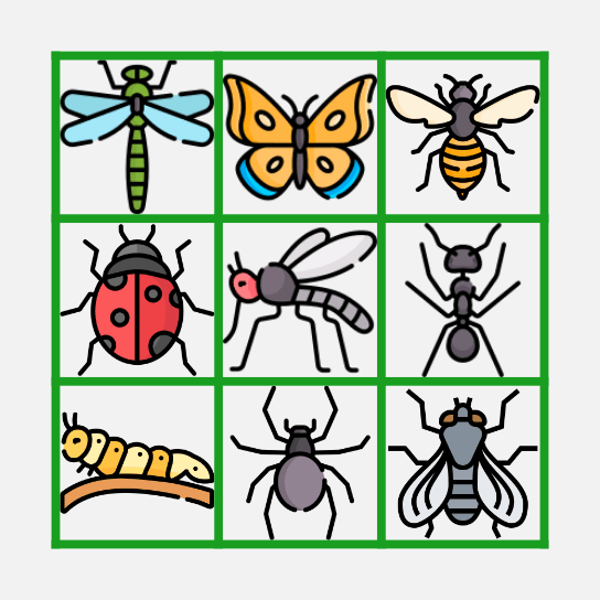 Bingo de Bichos e insectos Bingo Card