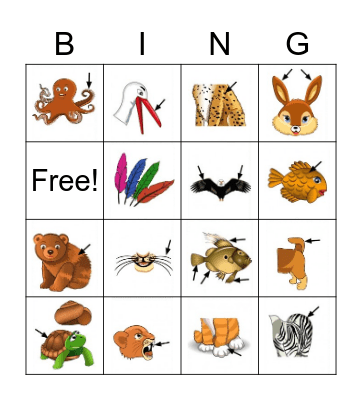 ANIMAL BODY PARTS Bingo Card