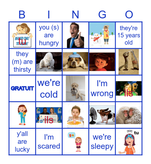 EXPRESSIONS AVEC AVOIR Bingo Card