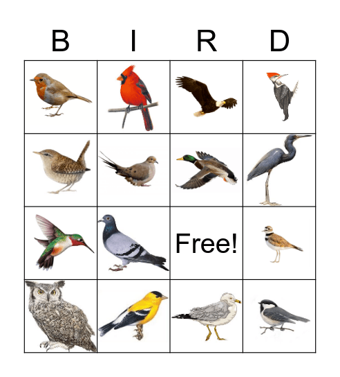 BIRD Bingo Card