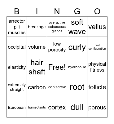 Chapter 5: Hair Texture Bingo Card