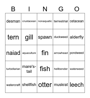 Aquatic Science Bingo Card