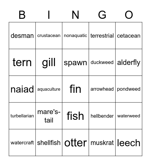 Aquatic Science Bingo Card