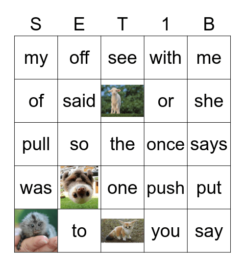 Sight Words Bingo Card