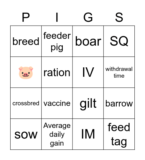 PIG GLOSSARY WORDS Bingo Card