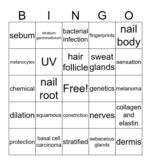 Integumentary Bingo Card