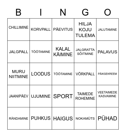 Minu suvi Bingo Card