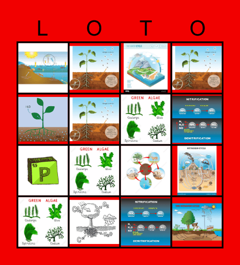 LOTERIA Bingo Card