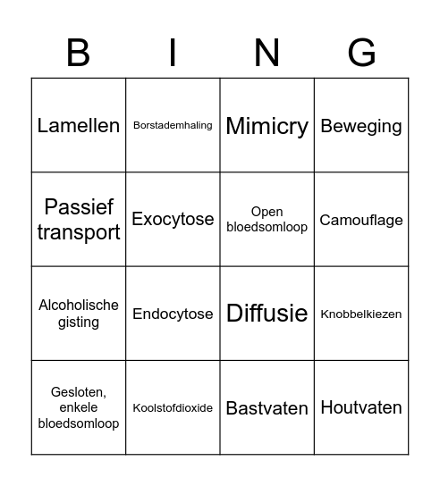 3e klas Thema 8.2 en 13 Bingo Card