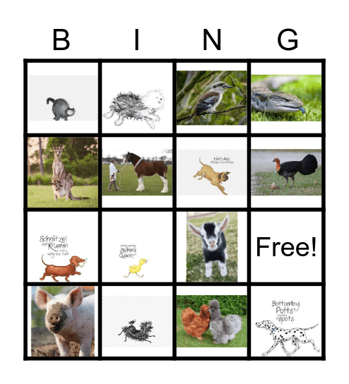 Pets Bingo Card