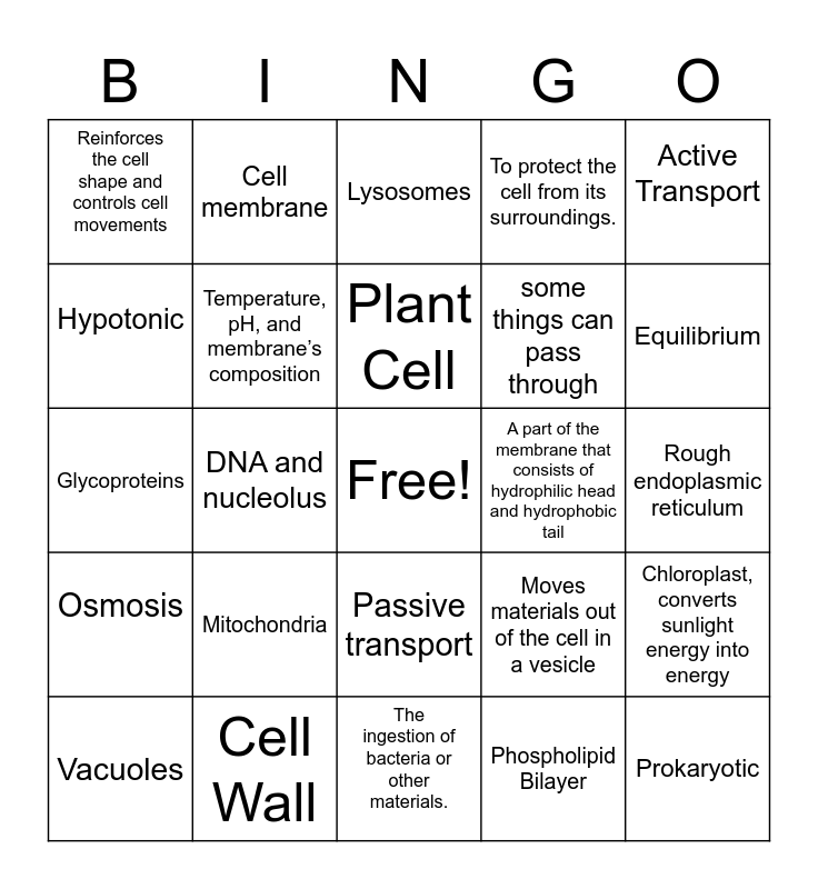 Bio Bingo #1 Bingo Card