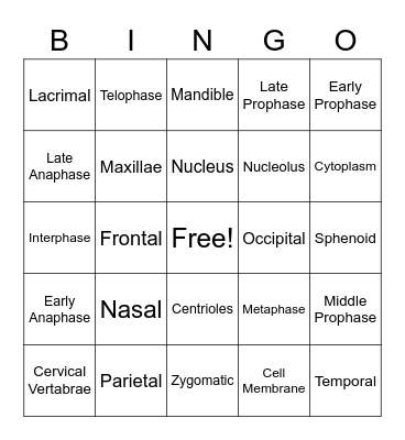 Anatomy Part 1 - Cells and Bones Bingo Card