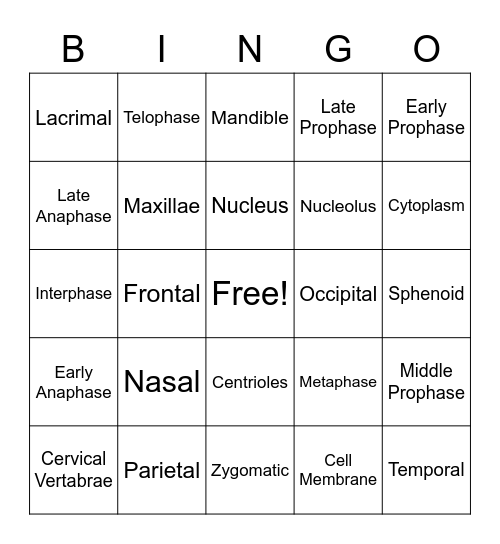 Anatomy Part 1 - Cells and Bones Bingo Card