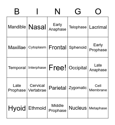 Anatomy Part 1 - Cells and Bones Bingo Card