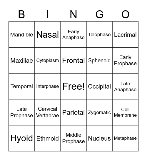 Anatomy Part 1 - Cells and Bones Bingo Card