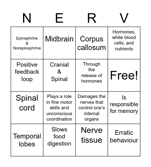 Central & Peripheral Nervous System Bingo Card
