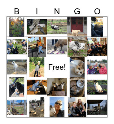 UBC Animal Bingo Card