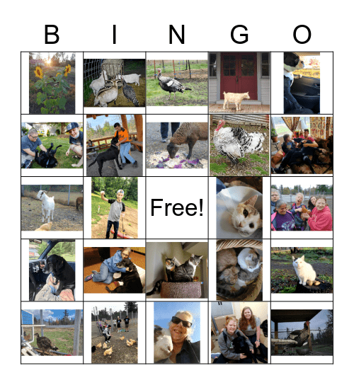 UBC Animal Bingo Card