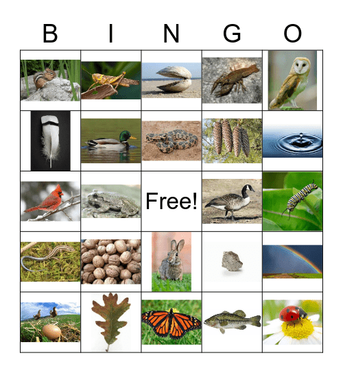 Nature Bingo Card