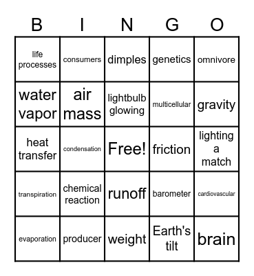 Science Bingo Card