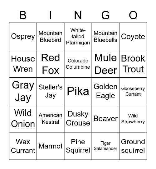 Wild Bingo Card