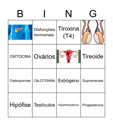 SISTEMA ENDÓCRINO Bingo Card