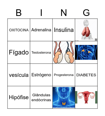 SISTEMA ENDÓCRINO Bingo Card