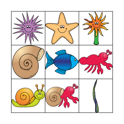 A House for Hermit Crab Bingo Card