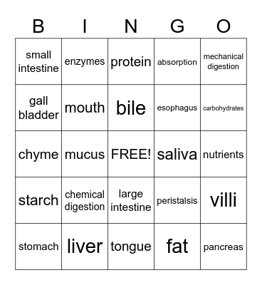Digestive System Bingo Card