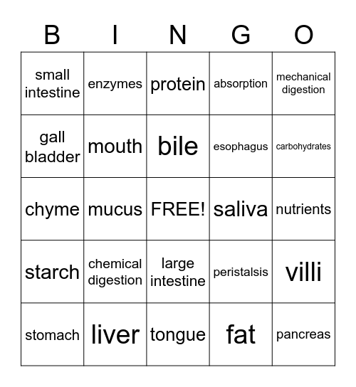 Digestive System Bingo Card