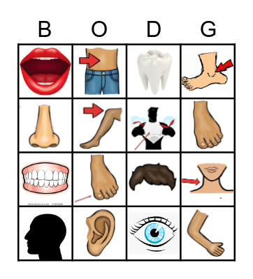BODY PARTS no word 4x Bingo Card