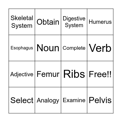Vocab Bingo Card