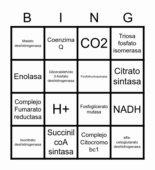 Bingo de la respiración aerobia 2.0 Bingo Card