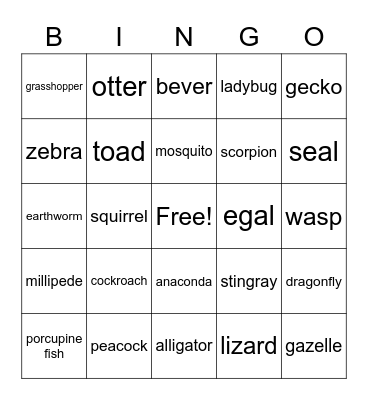 Animals Bingo Card