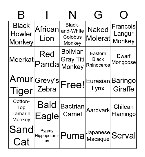 Bingo at the Zoo! Bingo Card