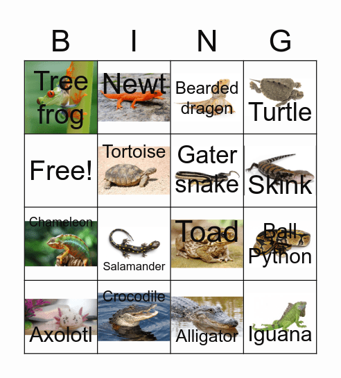Reptiles and Amphibians Bingo Card
