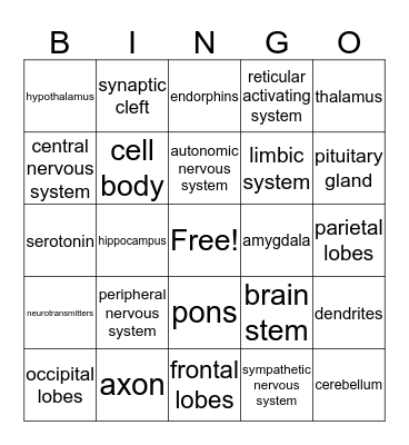 Brain/Behavior Bingo Card