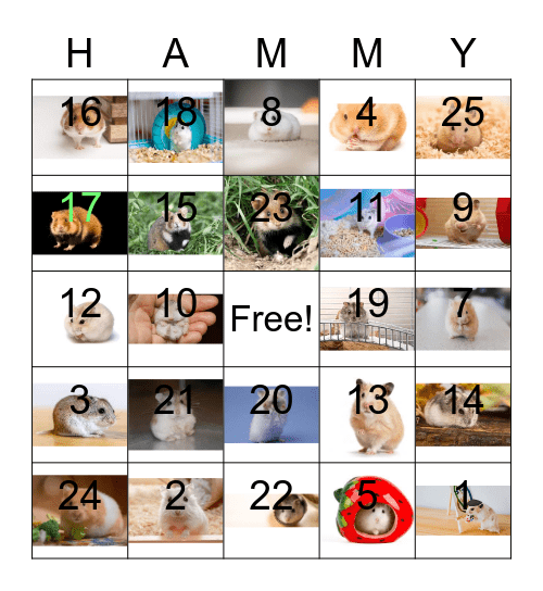 Hamster Bingo! Bingo Card