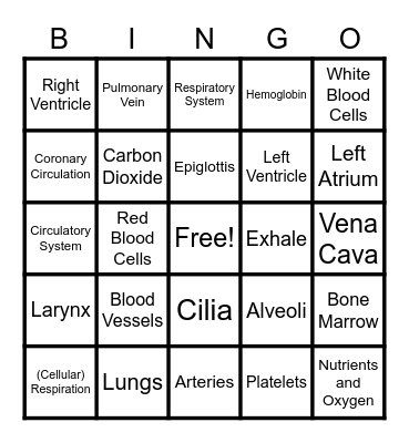 Circulatory and Respiratory Bingo Card