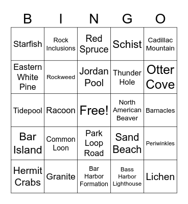 Acadia Bingo Card