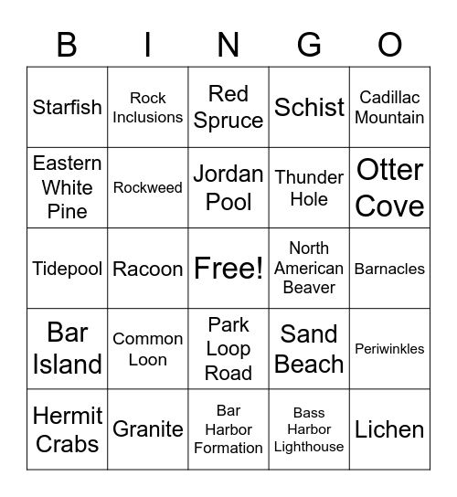 Acadia Bingo Card