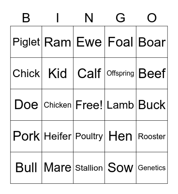 Farm Animal Terminology Bingo Card