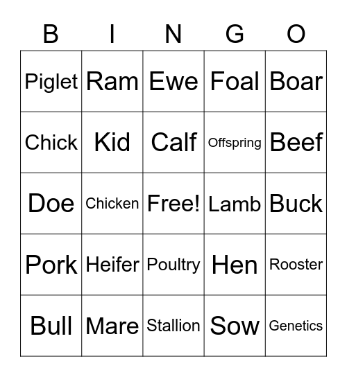 Farm Animal Terminology Bingo Card