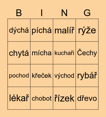 slova s písmenem Ch, ch Bingo Card